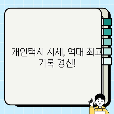 서울 개인택시 시세, 역대 최고 기록! 그 이유는? | 개인택시, 시세 변동, 수요 증가, 운영 현황