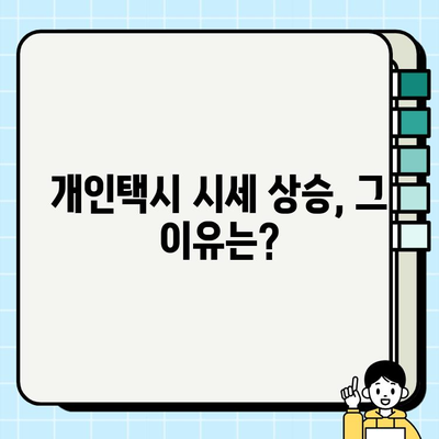 서울 개인택시 시세, 역대 최고 기록! 그 이유는? | 개인택시, 시세 변동, 수요 증가, 운영 현황