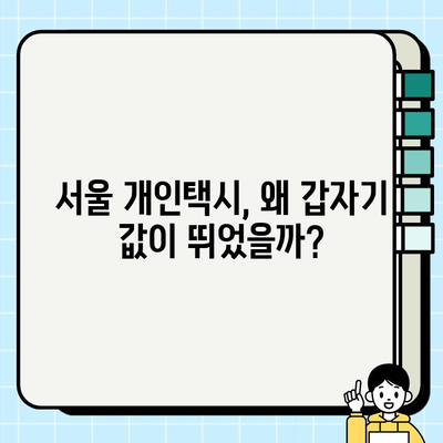 서울 개인택시 시세 급등, 오늘 무슨 일이? | 개인택시 시장 분석, 운임료 변동, 택시 시세 변화