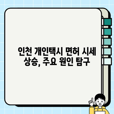 인천 개인택시 면허 시세, 역대급 상승 이유 분석 | 2023년 최신 현황 및 전망