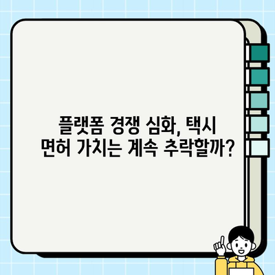 플랫폼 도입 실패로 서울 개인택시 면허 가치 7천만원대 추락| 원인 분석 및 전망 | 택시 시장, 플랫폼 경쟁, 면허 가치 하락