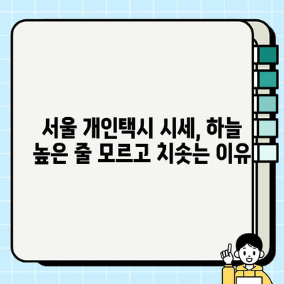 서울 개인택시 시세 급등 원인 분석| 심층 분석 및 전망 | 개인택시, 시장 동향, 가격 변동, 미래 전망
