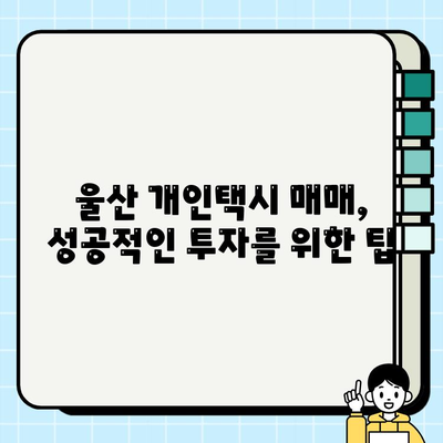 울산 개인택시 시세 & 양도양수 업체 정보| 매매부터 운영까지 완벽 가이드 | 울산 개인택시, 시세 정보, 양도양수, 매매 팁