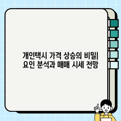 개인택시 가격 상승의 비밀| 요인 분석과 매매 시세 전망 | 택시 시장, 운임, 매매, 가격 변동, 분석