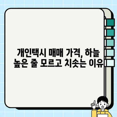 전국 개인택시 매매 가격 상승! 주요 원인과 지역별 현황 분석 | 개인택시 시장, 가격 변동, 매매 정보