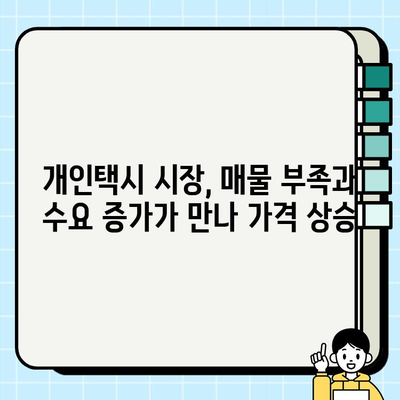 전국 개인택시 매매 가격 상승! 주요 원인과 지역별 현황 분석 | 개인택시 시장, 가격 변동, 매매 정보