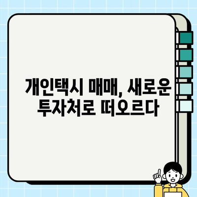 전국 개인택시 매매 가격 상승! 주요 원인과 지역별 현황 분석 | 개인택시 시장, 가격 변동, 매매 정보