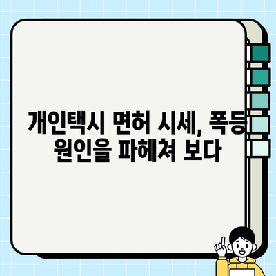 서울 개인택시 면허가격 폭등, 시세 분석 및 현황 | 개인택시, 면허 시세, 폭등 원인, 전망