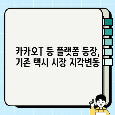 서울 개인택시 면허 시세 급락, 그 원인을 파헤쳐 보다 | 택시 시장 분석, 면허 가치 변화, 미래 전망