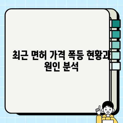 서울 개인택시 면허 가격, 지금 얼마? | 폭등 현황, 시세 분석, 매매 정보