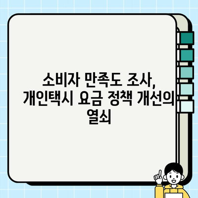 개인택시 요금 정책, 정기 검토와 소비자 만족도 조사로 개선하기 | 개인택시, 요금, 정책, 평가, 개선, 소비자 만족도