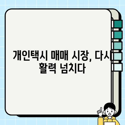 서울 개인택시 시세 반등, 경기 인천도 매매 활황| 지역별 시세 변화 및 전망 | 개인택시, 매매, 시장 동향, 투자