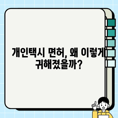 서울 개인택시 시세 폭등, 그 이유는? | 심층 분석 및 전망 |