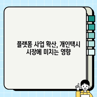 서울 개인택시 시세 폭등, 그 이유는? | 심층 분석 및 전망 |