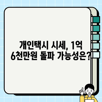 2024년 서울 개인택시 시세 1억 6천만원 돌파? | 개인택시 시세 분석, 매매 정보, 전망