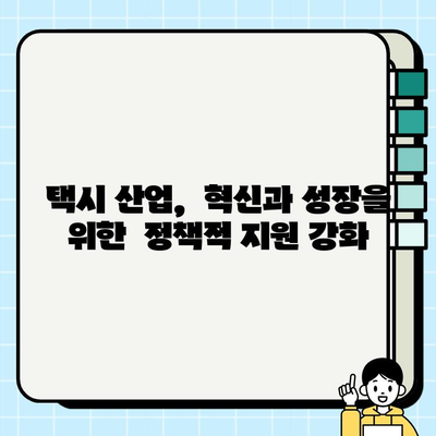 개인택시 업계, 새로운 도약을 위한 정책과 계획 |  택시 산업 발전, 플랫폼 연계, 수익 증대 방안