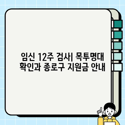 임신 12주 검사| 목투명대 확인 & 종로구 보건소 지원금 상세 안내 | 임신 초기 검사, 목투명대, 지원금, 종로구