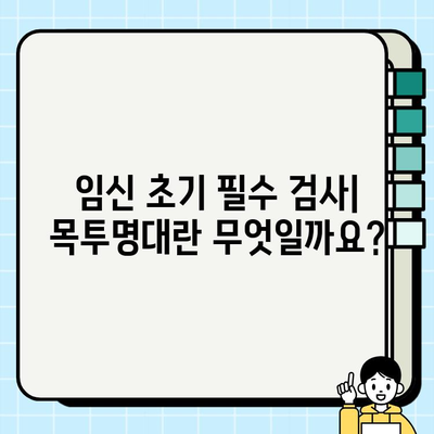 임신 12주 검사| 목투명대 확인 & 종로구 보건소 지원금 상세 안내 | 임신 초기 검사, 목투명대, 지원금, 종로구