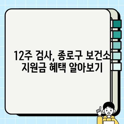 임신 12주 검사| 목투명대 확인 & 종로구 보건소 지원금 상세 안내 | 임신 초기 검사, 목투명대, 지원금, 종로구