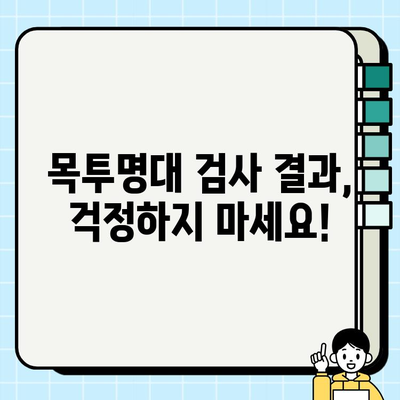 임신 12주 검사| 목투명대 확인 & 종로구 보건소 지원금 상세 안내 | 임신 초기 검사, 목투명대, 지원금, 종로구