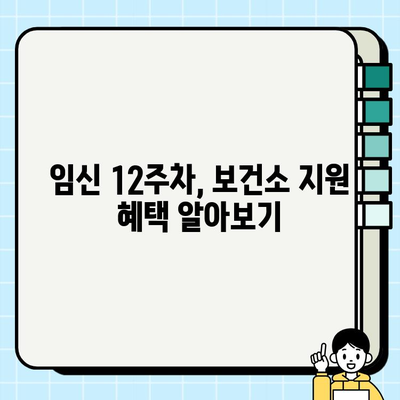 임신 12주차 보건소 혜택 완벽 정리| 놓치지 말아야 할 지원과 정보 | 임산부, 보건소, 지원, 혜택, 12주