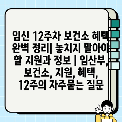 임신 12주차 보건소 혜택 완벽 정리| 놓치지 말아야 할 지원과 정보 | 임산부, 보건소, 지원, 혜택, 12주