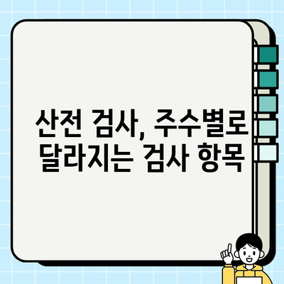 임신 초기 필수 검사| 꼭 알아야 할 10가지 검사 항목 & 실제 후기 | 임신 초기 검사, 산전검사, 임신 초기 증상, 임신 주수별 검사