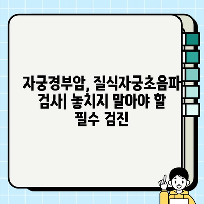 보건소 산후검진| 자궁경부암 & 질식자궁초음파 검사 가이드 | 산후 건강, 여성 건강, 건강검진