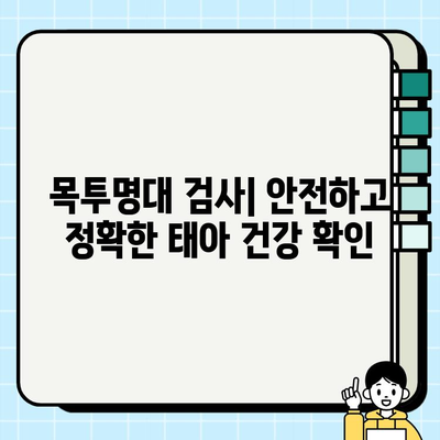 종로구 보건소 임산부 혜택| 목투명대 검사 & 필수 피검사 안내 | 임신 초기 검사, 산모 건강 관리, 출산 지원