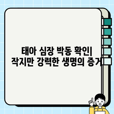 임신 초기 필수 검사| 산부인과 방문, 피검사, 태아 심장 박동 확인 | 임신, 산전 검사, 출산 준비