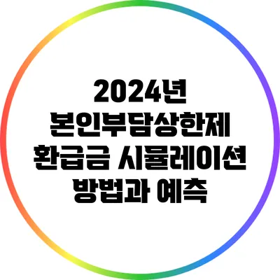 2024년 본인부담상한제 환급금 시뮬레이션 방법과 예측