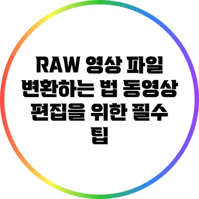 RAW 영상 파일 변환하는 법: 동영상 편집을 위한 필수 팁