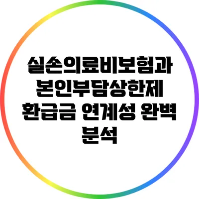 실손의료비보험과 본인부담상한제 환급금 연계성 완벽 분석