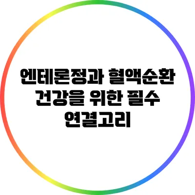 엔테론정과 혈액순환: 건강을 위한 필수 연결고리