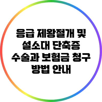 응급 제왕절개 및 설소대 단축증 수술과 보험금 청구 방법 안내