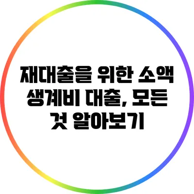 재대출을 위한 소액 생계비 대출, 모든 것 알아보기