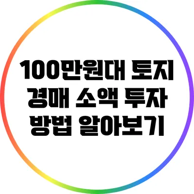 100만원대 토지 경매 소액 투자 방법 알아보기