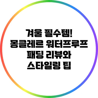 겨울 필수템! 몽클레르 워터프루프 패딩 리뷰와 스타일링 팁