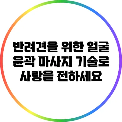 반려견을 위한 얼굴 윤곽 마사지 기술로 사랑을 전하세요