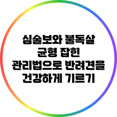 심술보와 불독살: 균형 잡힌 관리법으로 반려견을 건강하게 기르기