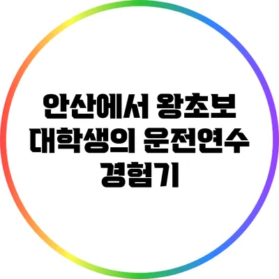 안산에서 왕초보 대학생의 운전연수 경험기