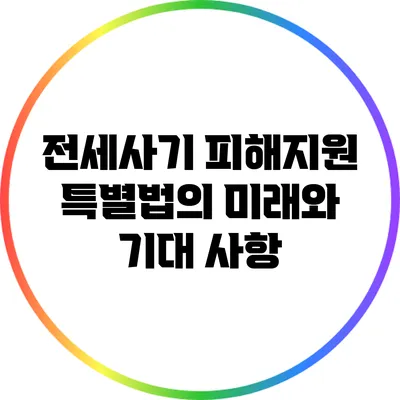 전세사기 피해지원 특별법의 미래와 기대 사항