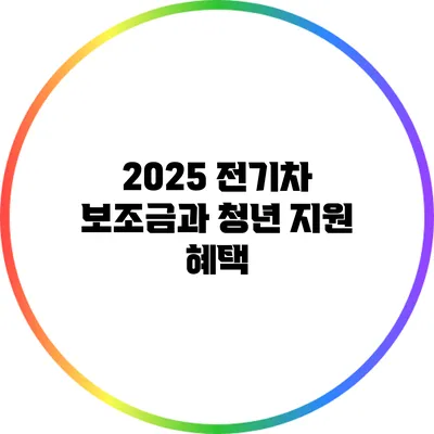 2025 전기차 보조금과 청년 지원 혜택