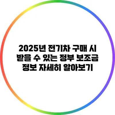 2025년 전기차 구매 시 받을 수 있는 정부 보조금 정보 자세히 알아보기