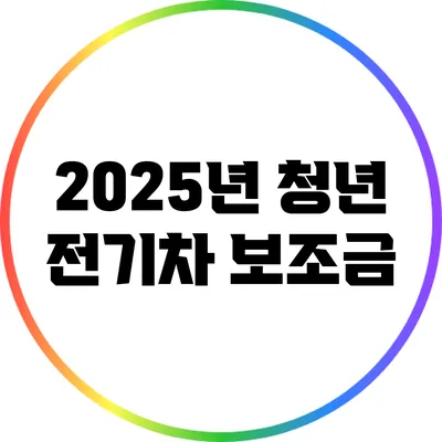 2025년 청년 전기차 보조금