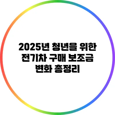 2025년 청년을 위한 전기차 구매 보조금 변화 총정리