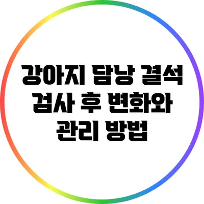 강아지 담낭 결석 검사 후 변화와 관리 방법