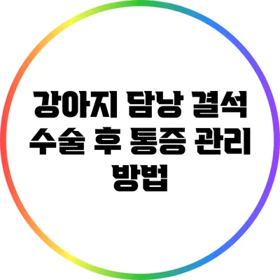 강아지 담낭 결석 수술 후 통증 관리 방법