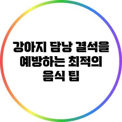 강아지 담낭 결석을 예방하는 최적의 음식 팁