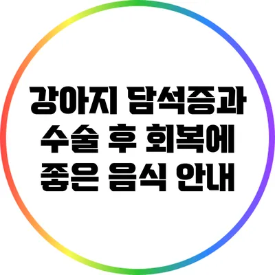 강아지 담석증과 수술 후 회복에 좋은 음식 안내